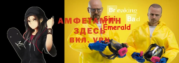 ГАЛЛЮЦИНОГЕННЫЕ ГРИБЫ Майский