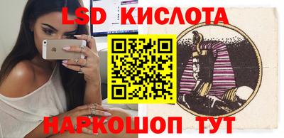 a pvp Гатчина