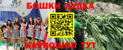 a pvp Гатчина