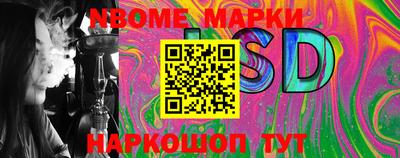 a pvp Гатчина